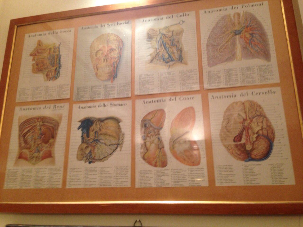 Nicola Pende's medical pictures (1).jpg
